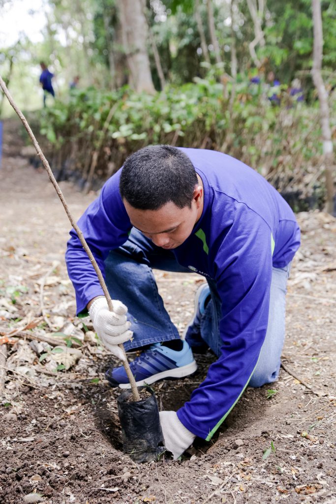 watershed management