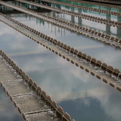 WATER SUPPLY AND FACILITIES MANAGEMENT